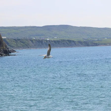 Couette-café Slaney House