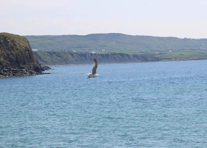 Bed & Breakfast Slaney House